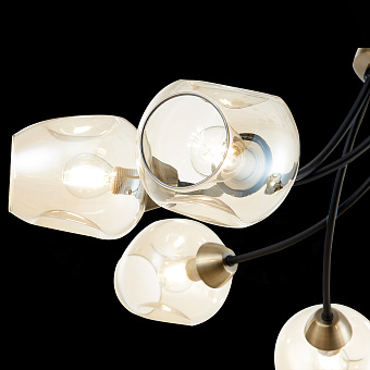 Светильник потолочный Evoluce BESANO SLE205302-06 240Вт E14