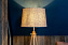 Торшер на треноге Maytoni Calvin Z177-FL-01-BR 60Вт E27