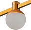 Магнитный трековый светильник ST Luce FARM ST815.206.05 5Вт LED белый