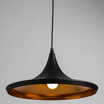 Светильник подвесной Arte Lamp CAPPELLO A3406SP-1BK 40Вт E27