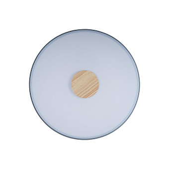 Светильник потолочный Loft It Axel 10003/24 Grey 24Вт LED