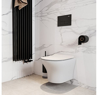 Унитаз подвесной SOLE OMEGA УТ000051491 безободковый с микролифтом