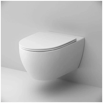 Сиденье для унитаза AM-PM C117853WH с микролифтом