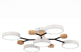 Светильник потолочный Evoluce FAEMA SLE6006-502-05 60Вт LED