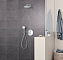 Верхний душ GROHE Tempesta 250 26668000 хром