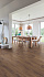 Ламинат Quick-Step Classic Plus Hydro Дуб горный коричневый CLH4091 1200х190х8мм 32 класс 1,596кв.м