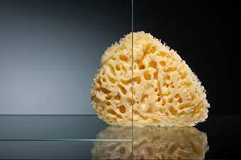 Душевая дверь Vegas Glass ZP ZP 192 05,01 190х192см стекло прозрачное