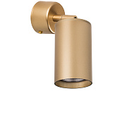 Светильник настенно-потолочный Lightstar Rullo RB4401 50Вт GU10