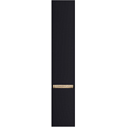 Пенал подвесной AM-PM X-Joy M85ACHR0306BM 32х30х166см чёрный
