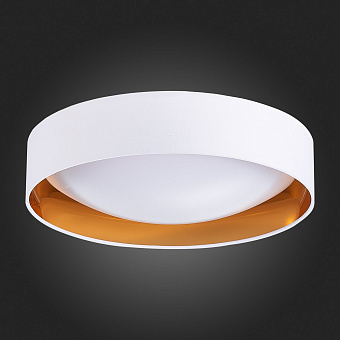 Светильник потолочный Evoluce ORBIO SLE201122-01 24Вт LED