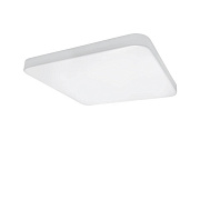 Светильник точечный накладной Lightstar Arco 226204 20Вт LED
