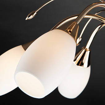 Люстра потолочная Eurosvet Ginevra 22080/6 золото 40Вт 6 лампочек E14