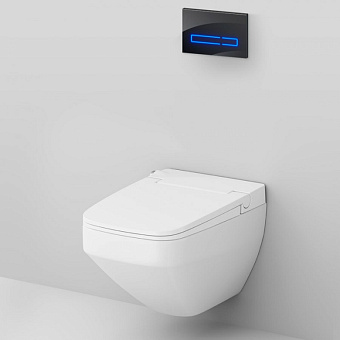 Инсталляция с унитазом AM-PM Inspire V2.0 IS450A38.CCC50A