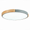 Светильник потолочный Evoluce DELIA SLE201372-01 40Вт LED