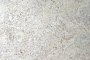 Пробковый пол CORKSTYLE ECOCORK-LOCK 915х305х10,5мм Madeira Grey MADEIRA GREY 1,953кв.м
