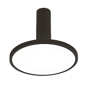 Светильник точечный накладной Elektrostandard Brain a047772 DLS029 12Вт LED