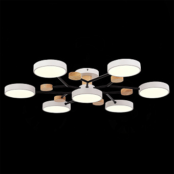 Светильник потолочный Evoluce FAEMA SLE6006-502-07 84Вт LED