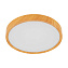 Светильник потолочный EGLO MUSURITA 98602 33,5Вт LED