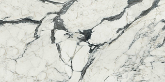Полированный керамогранит REX Les Bijoux de Rex 766330 Calacatta altissimo Glossy Rett 60х120см 1,44кв.м.
