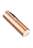 Плафон CRYSTAL LUX CLT 060 CLT 060_00 COP 220х55мм медный