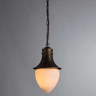 Светильник фасадный Arte Lamp VIENNA A1317SO-1BN 75Вт IP44 E27 золотой/чёрный