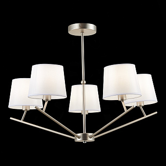 Светильник потолочный Evoluce DENICE SLE300102-05 200Вт E14