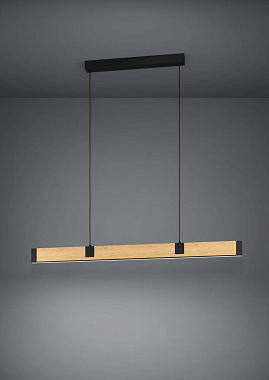 Люстра подвесная EGLO CAMINARRO 390225 29,4Вт 2 лампочек LED