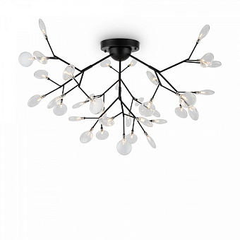 Светильник потолочный Freya Florencia FR5049CL-36B 3Вт G4