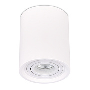 Светильник потолочный ST Luce Gipsum ST156.502.01 50Вт GU10