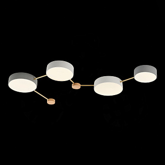 Светильник потолочный Evoluce DOSSENA SLE600102-04 66Вт LED