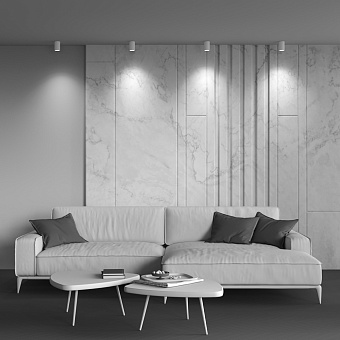 Светильник потолочный Maytoni Zoom C029CL-01-S-W 50Вт GU10