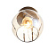 Светильник настенный Evoluce GENTORE SLE155301-01 60Вт E14