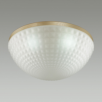 Светильник потолочный Odeon MODERN 4936/4C 160Вт E14