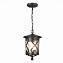 Светильник подвесной ST Luce LORNE SL085.403.01 60Вт E27