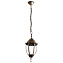 Светильник фасадный Arte Lamp PEGASUS A3151SO-1BN 60Вт IP44 E27 золотой/чёрный