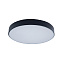 Светильник потолочный Loft It Axel 10002/24 Black 24Вт LED