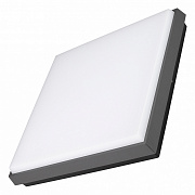 Светильник фасадный Arlight LGD-Area 029953 30Вт IP54 LED чёрный