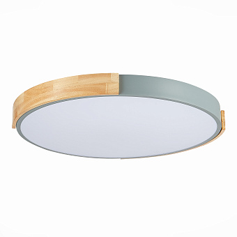 Светильник потолочный Evoluce DELIA SLE201372-01 40Вт LED
