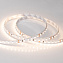 Светодиодная лента Arlight RT 2-5000 24V Warm3000 2x 9,6Вт/м 5000мм IP20 тёплый свет