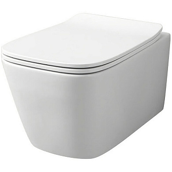 Сиденье для унитаза ArtCeram ASA002 05 71 с микролифтом
