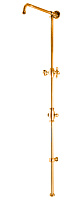 Штанга для душа CAPRIGO 99-065-oro золото