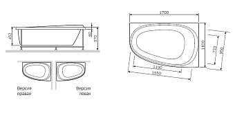 Каркас под ванную AM-PM Like W80A-170L110W-R 170см