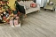 Виниловый ламинат Alpine Floor Лавр ЕСО 11-4 1220х183х4мм 43 класс 2,23кв.м