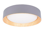 Светильник потолочный Loft It Coin 10202 Grey 36Вт LED