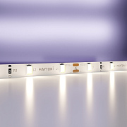 Светодиодная лента Maytoni 20008 4,8Вт/м 5000мм IP20 дневной свет