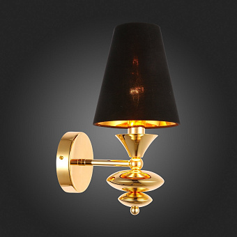 Светильник настенный Evoluce RIONFO SL1137.201.01 40Вт E14