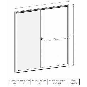 Душевая дверь RADOMIR Вита 1-63-1-0-0-1071 200х110см стекло матовое