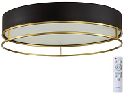 Светильник потолочный Sonex LOFTY 7723/100L 100Вт LED