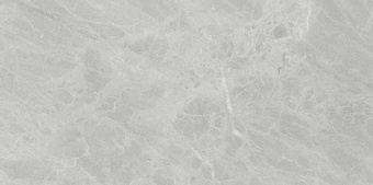 Матовый керамогранит ARIOSTEA Marmi Classici P612498 Gris De Savoi Soft 60х120см 1,44кв.м.