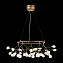 Люстра подвесная ST Luce RICCARDO SL411.253.45 68Вт 45 лампочек G4